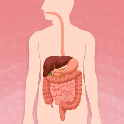 Curso-de-alimentacao-saudavel-como-evitar-doenças-metodologia-milenar-ayurvédica